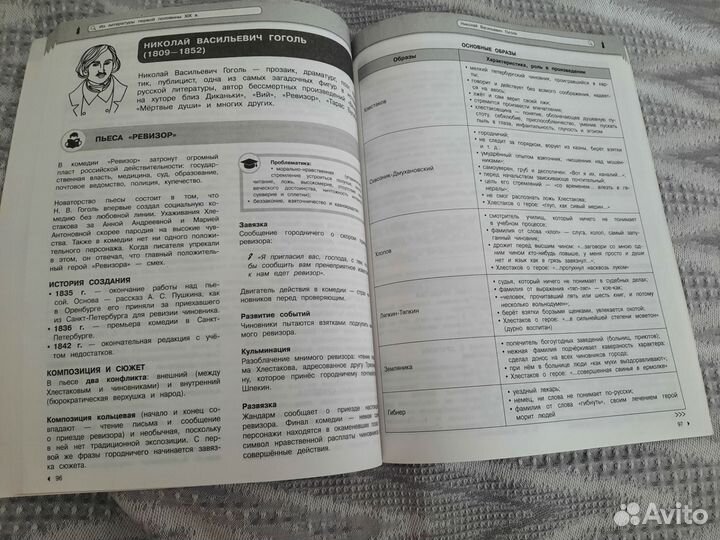 Теория школьного курса по литературе