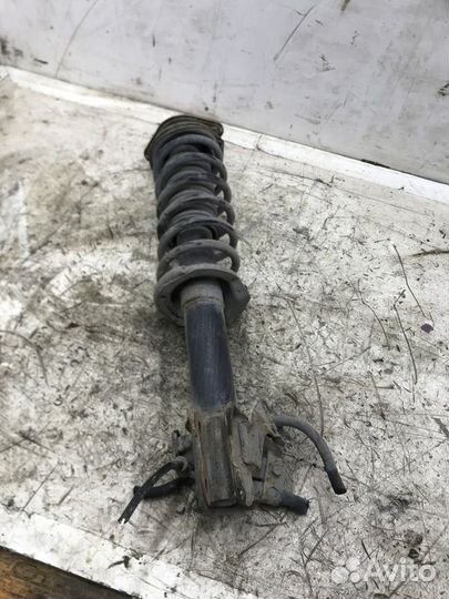 Амортизатор передний правый Nissan March