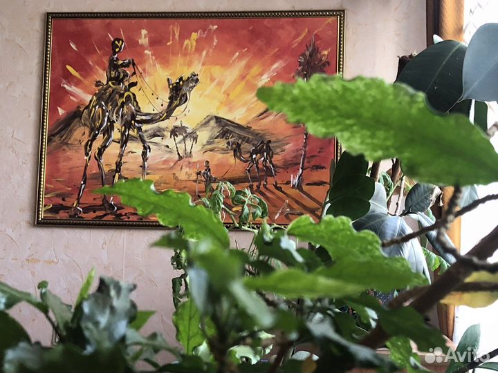 Картина маслом на холсте