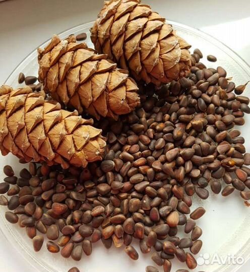 Кедровый орех крупный + доставка