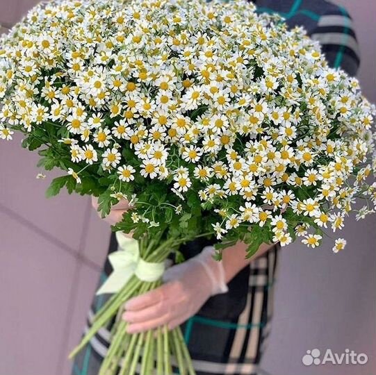 Доставка цветов. Ромашки