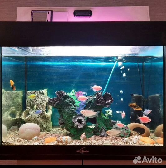 Аквариум с тумбой 60 литров