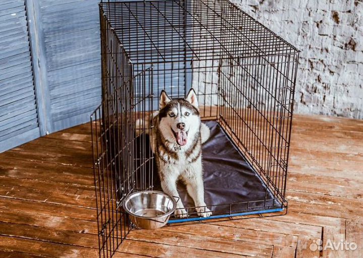 Клетка для животных