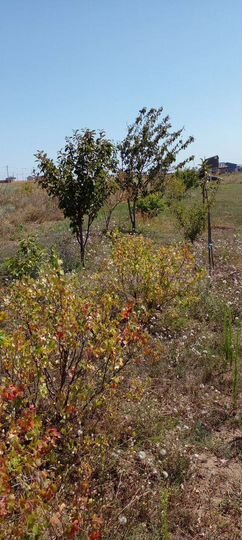 Дом 100 м² на участке 8 сот.