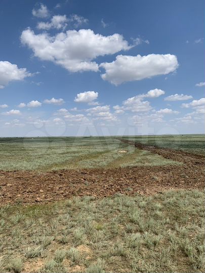 Участок 24 га (СНТ, ДНП)