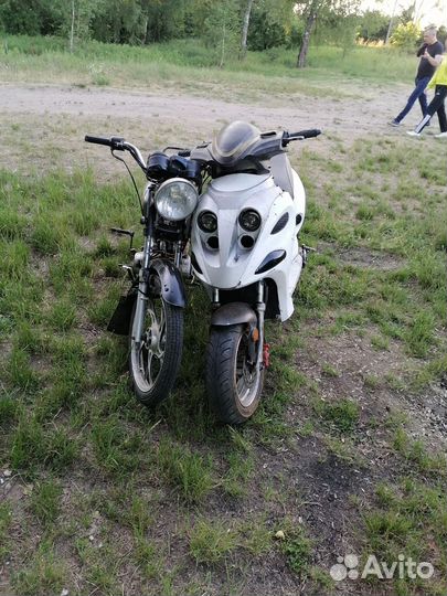 Продам мопед альфа