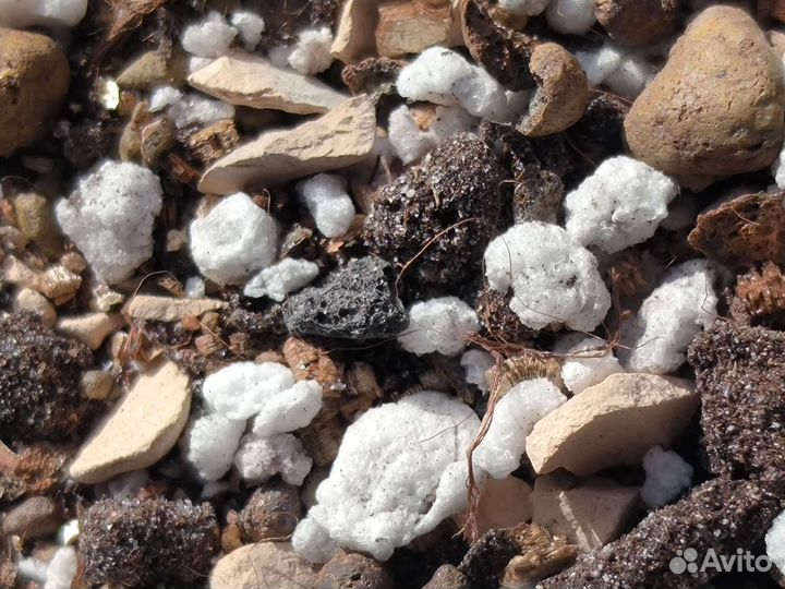 Грунт для кактусов и суккулентов