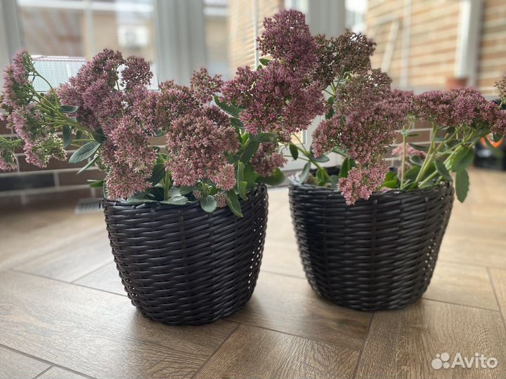 Кашпо для цветов