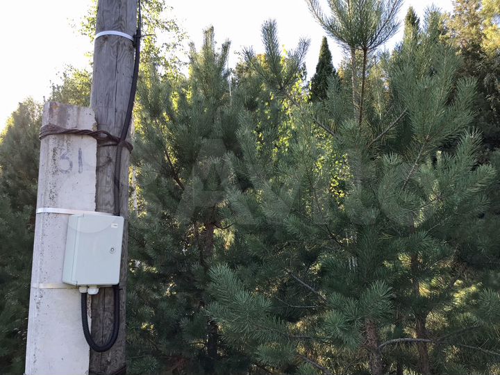 Участок 31,5 сот. (ИЖС)