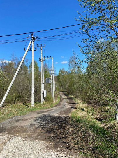 Участок 12,5 сот. (ИЖС)