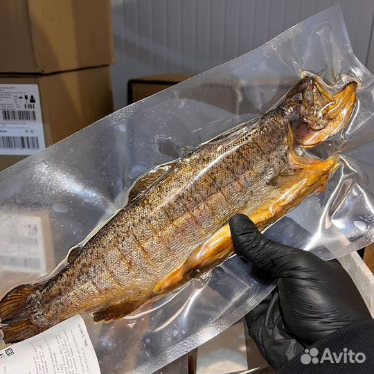 Форель горячего копчения