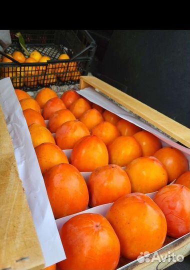 Хурма сладкая