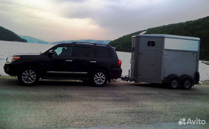 Перевозка лошадей и крс