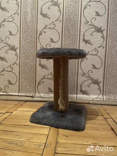 Лоток для котенка. Когтеточка для котенка