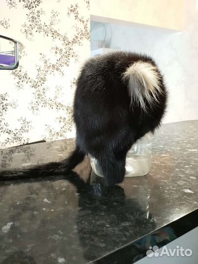 Норковая шапка женская