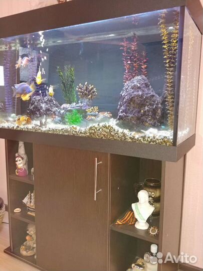 6з35з7аквариум 100л 150л 200л