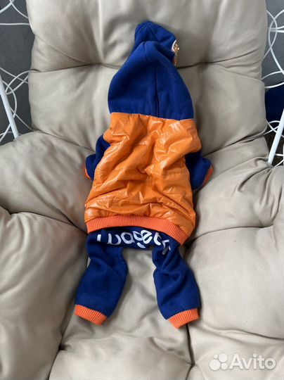 Одежда для собаки