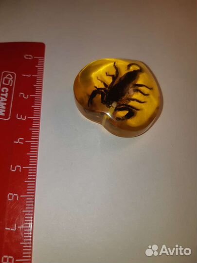 Кулон янтарь скорпион брелок подвеска