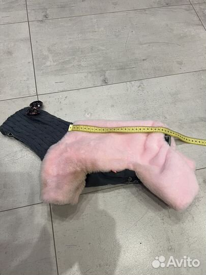 Одежда для собак мелких пород девочек