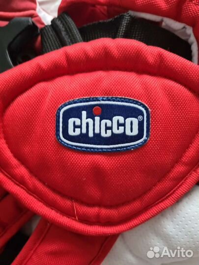 Кенгуру chicco
