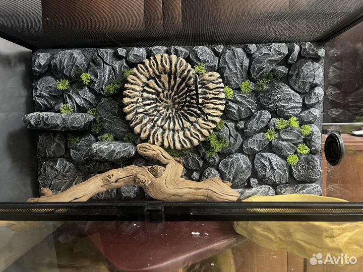 Террариум 80*45*45 см, Simple Zoo