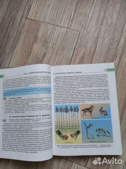 Учебник по биологии 11 класс. Теремов, Петросова