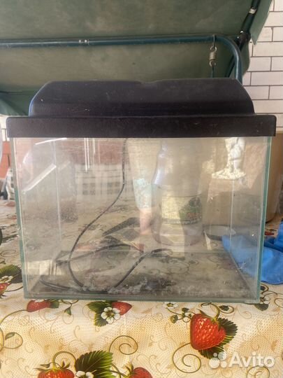 Аквариум