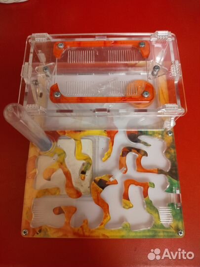 Формикарии - муравьиная ферма