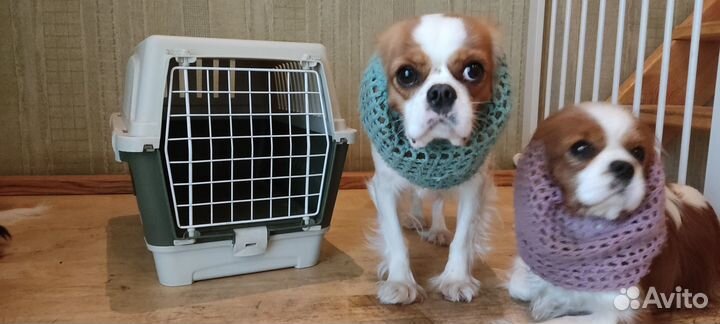 Переноска для животных