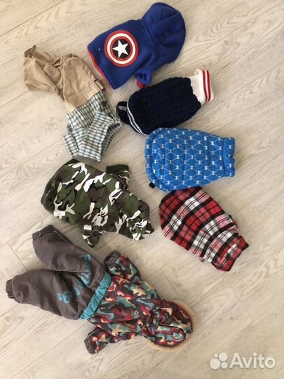 Вещи для собак для Той-терьера