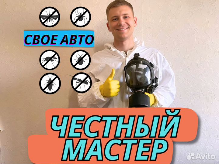 Уничтожение плесени, тараканов, блох. Дезинфекция