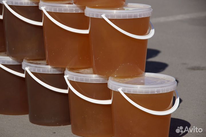 Свежий мёд сентябрь 2023 - доставка бесплатная