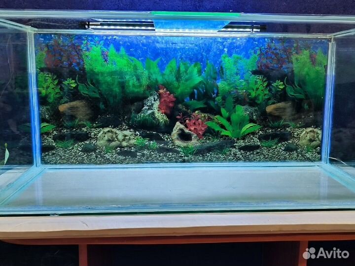 Аквариум