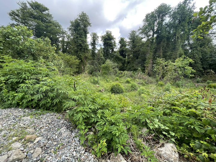 Участок 8 сот. (ИЖС)