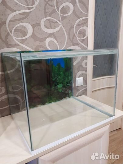 Аквариум
