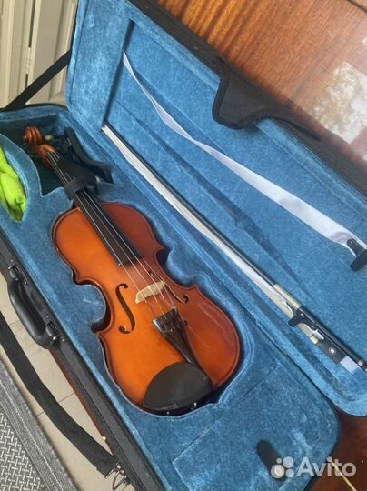 Скрипка 1/2