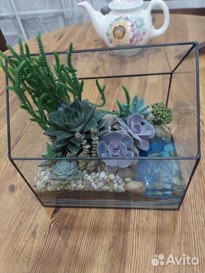 Флорариумы