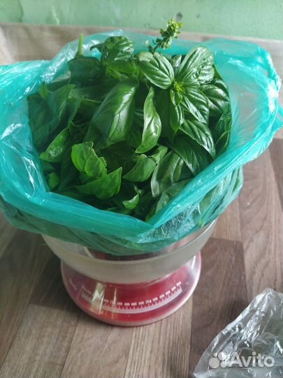 Свекла с ботвой