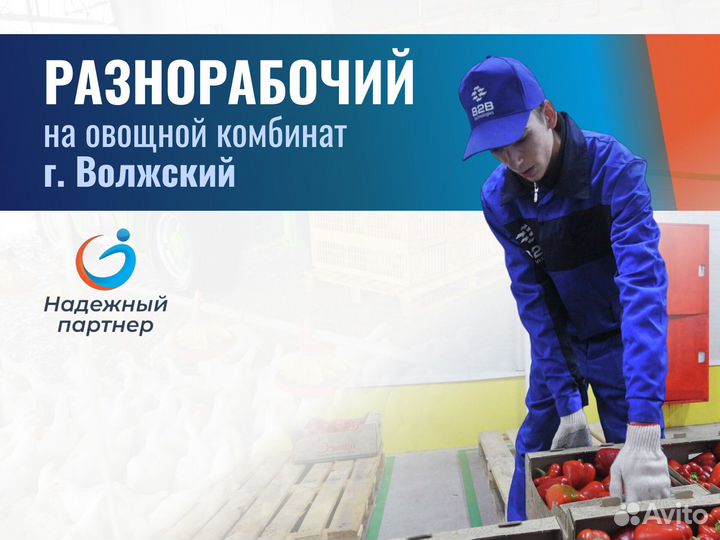 Разнорабочий овощной завод (г.Волжский. Теплое пом