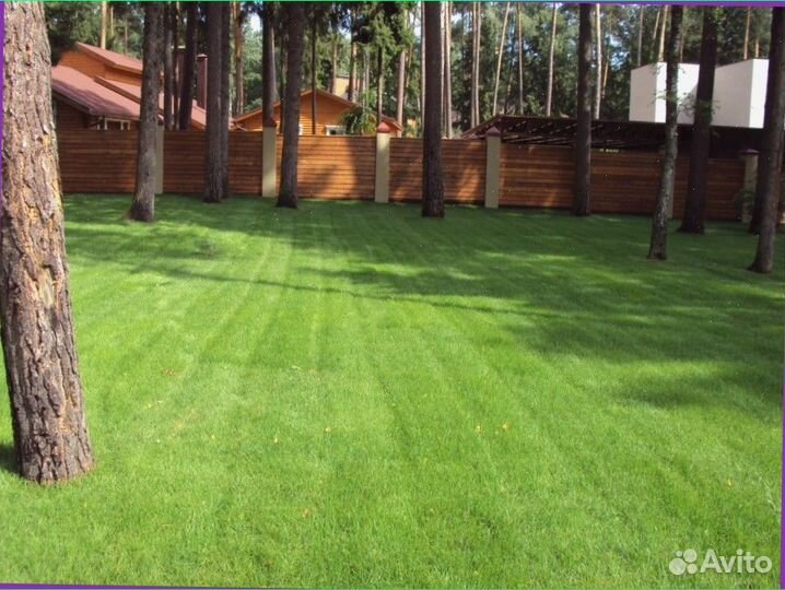 Рулонный газон