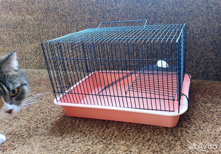 Клетка для грызунов, переноска для грызунов