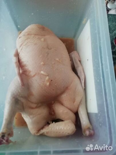 Утка домашняя мясо