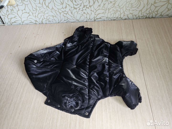 Одежда для собак мелких пород