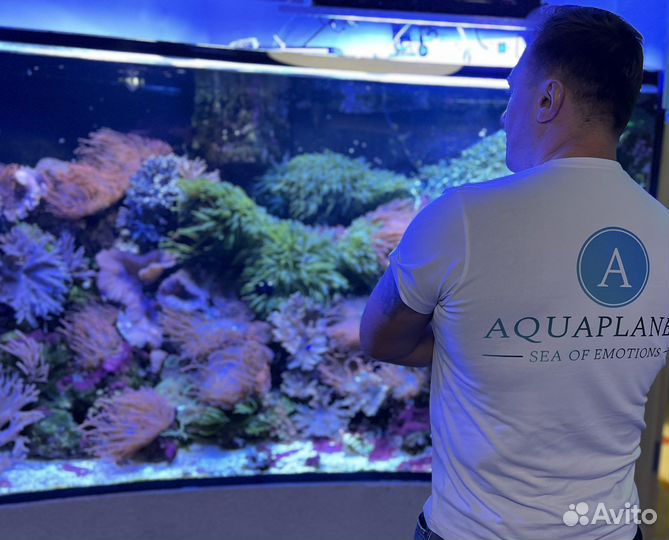 Аквариум, гарантии, обслуживание, дизайн