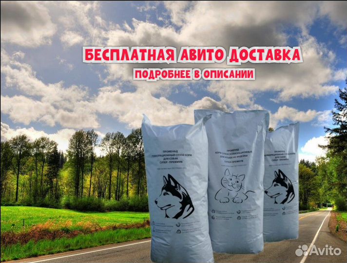 Сухой корм супер-премиум класса без курицы