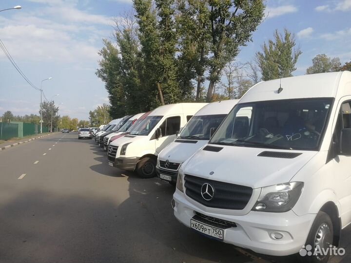 Аренда автобусов. Пассажирские перевозки