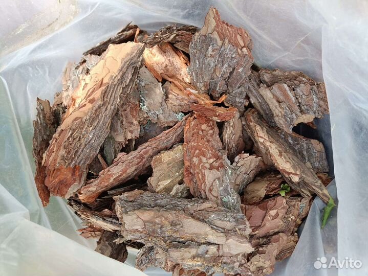 Кора сосновая/мульча С доставкой