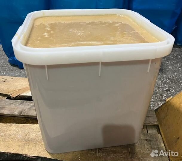 Свежий мёд лесной Качка 2023 опт