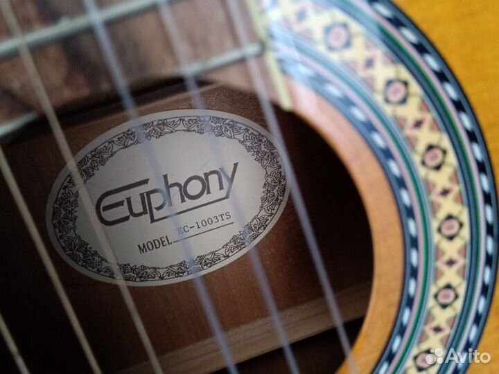 Гитара euphony 1003ts classic