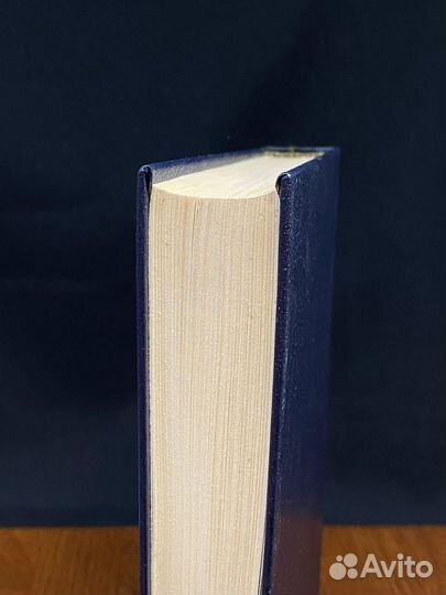 Прекрасное и вечное